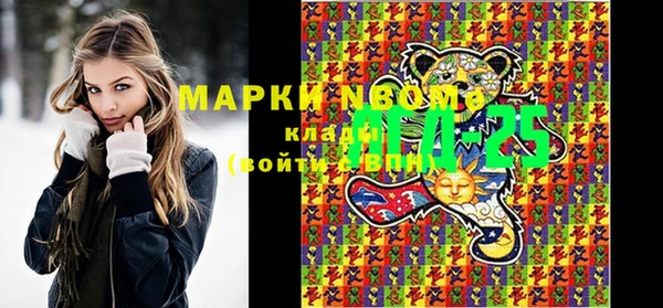 эйфоретик Алзамай