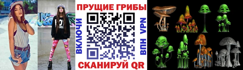 магазин Спасск Псилоцибиновые грибы Psilocybine cubensis